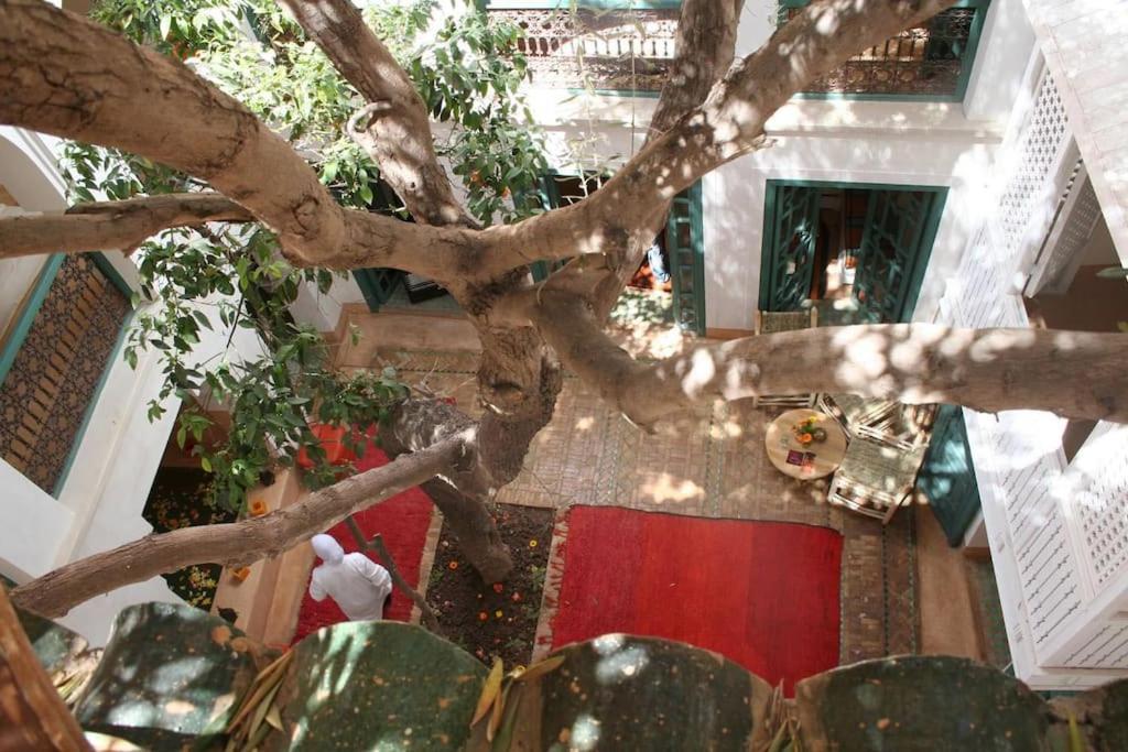 Riad Dar Zitouna Marrakesh - Entire House In Exclusivity Zewnętrze zdjęcie